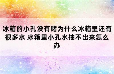 冰箱的小孔没有赌为什么冰箱里还有很多水 冰箱里小孔水抽不出来怎么办